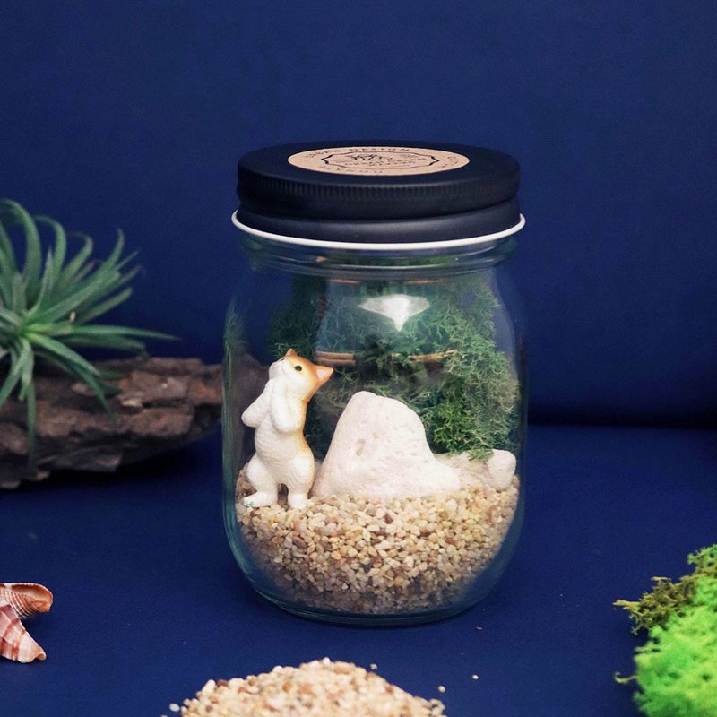 【让我自己挑选】01经典圆瓶 / 桌上型微造景盆栽 简易版 - 植栽 - 植物．花 