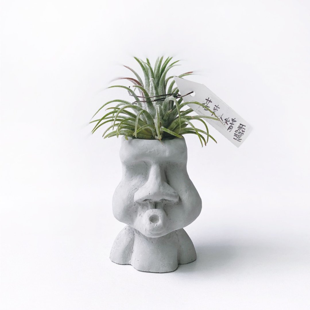 花束小精灵 空气凤梨 可搭配O嘴摩艾水泥盆器 - 植栽/盆栽 - 植物．花 灰色