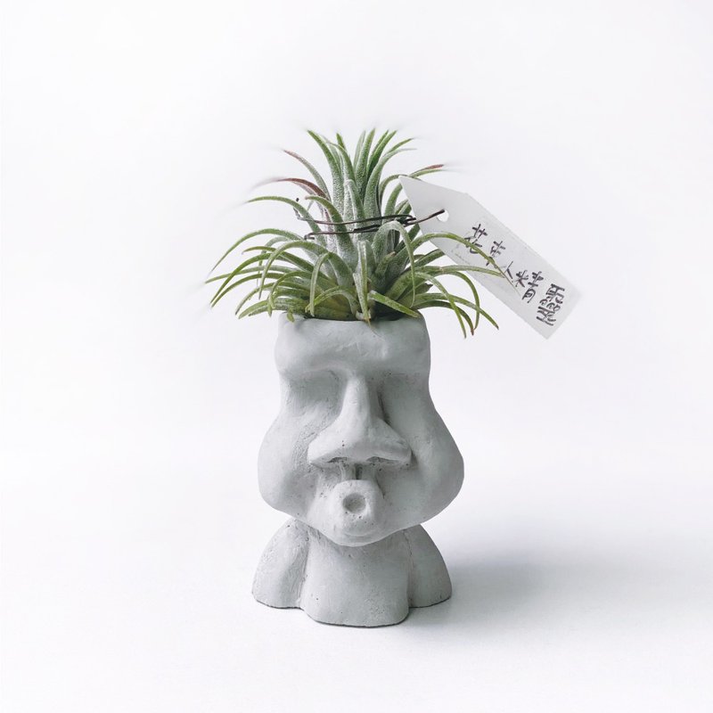 花束小精灵 空气凤梨 可搭配O嘴摩艾水泥盆器 - 植栽/盆栽 - 植物．花 灰色