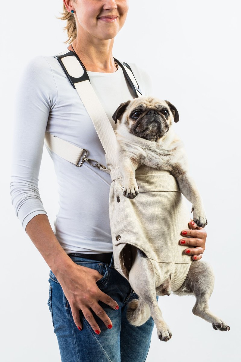 Dog front carrier GITHA - 其他 - 棉．麻 