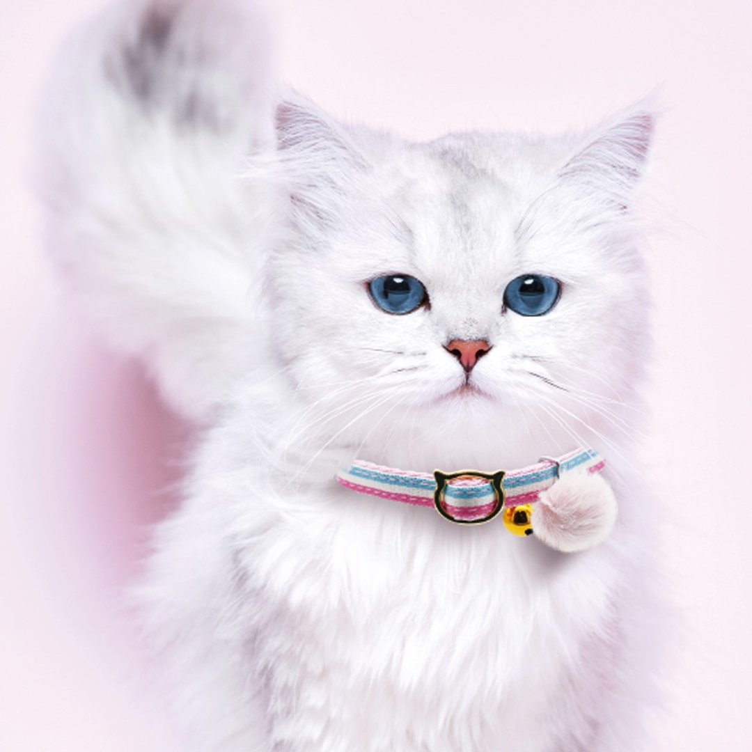 【日本CattyMan】9种款式 ! 时尚优雅又安全的猫项圈 - 项圈/牵绳 - 其他材质 多色