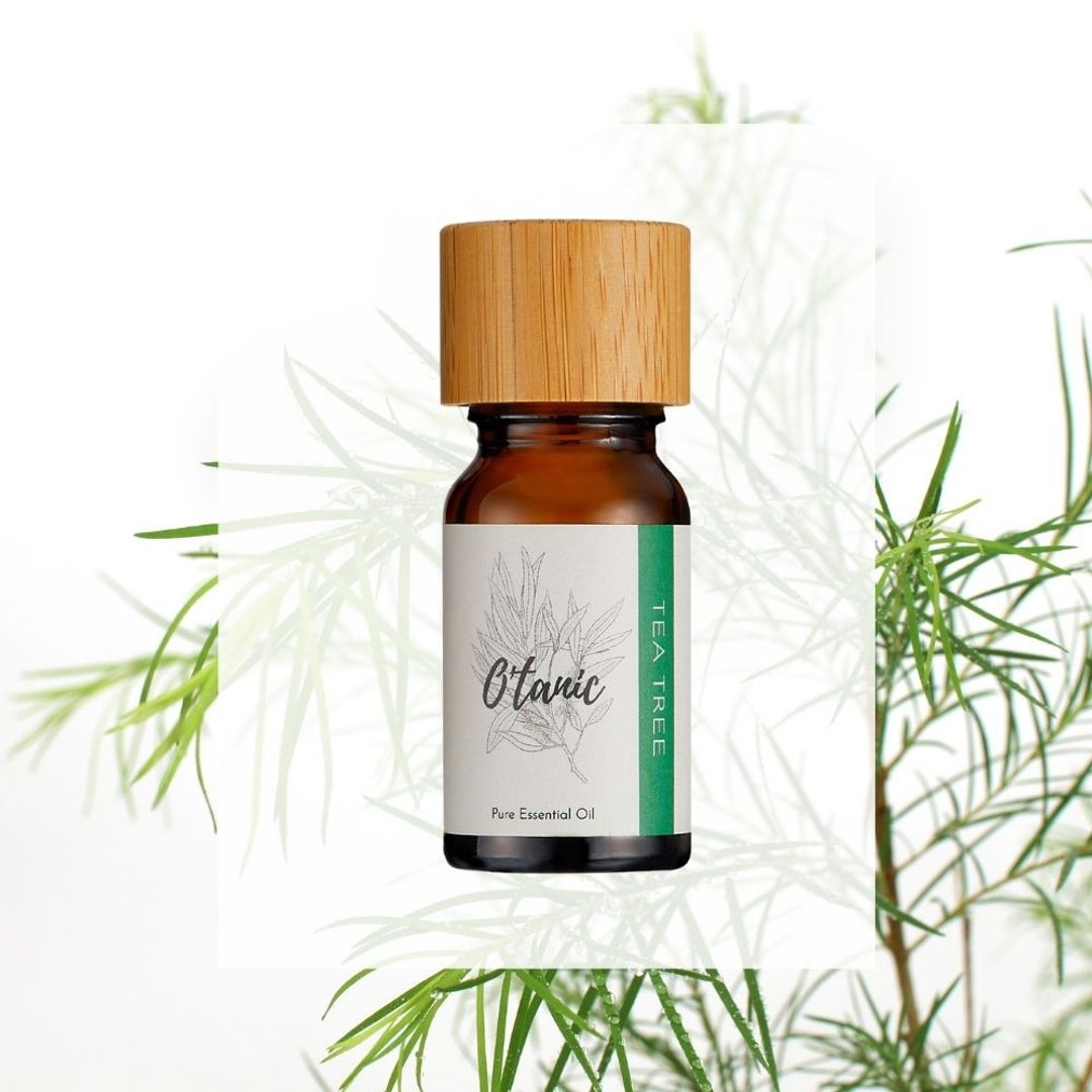 O'tanic【茶树精油】芳疗精油 / 天然精油 / 薰香精油 / 放松精油 - 香薰/精油/线香 - 玻璃 