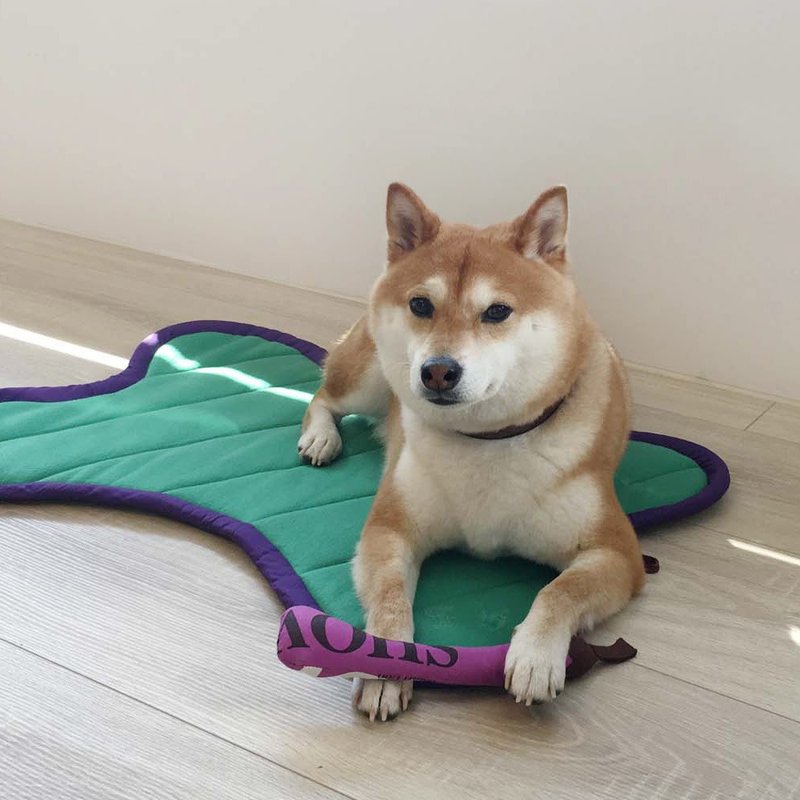 狗狗-时尚宠物垫(水湖蓝) - 床垫/笼子 - 棉．麻 