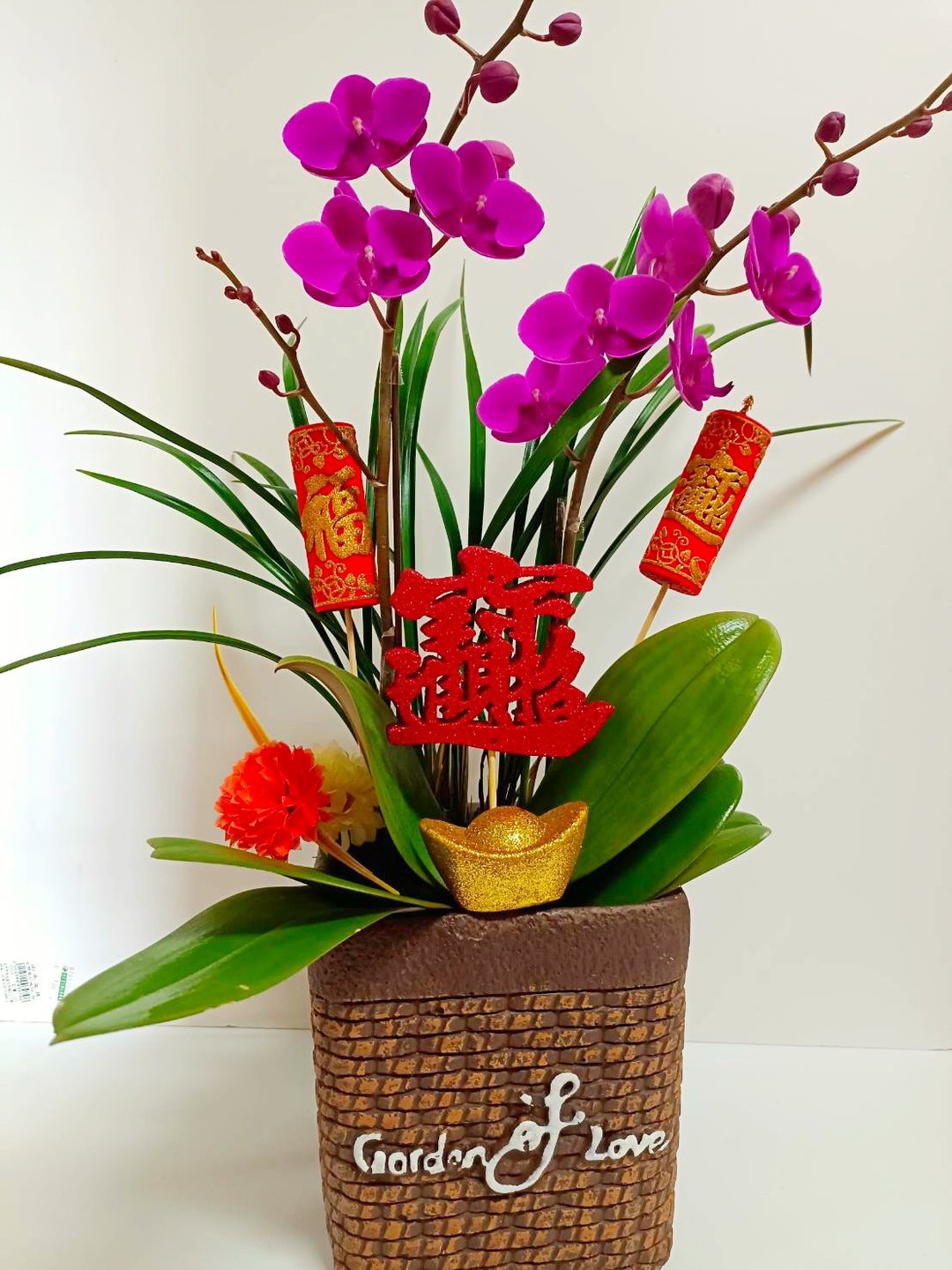 【过年首选】蝴蝶兰组合盆栽桌上型 节庆送礼自用玄关客厅摆设 - 植栽/盆栽 - 陶 