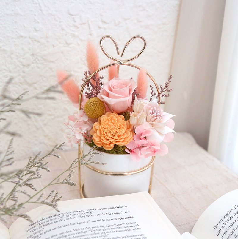 居家DIY材料包。爱在巴黎 - 植栽 - 植物．花 粉红色