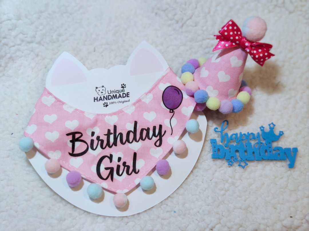Birthday Girl 宠物生日帽 + 生日围巾组合 猫犬适用 - 衣/帽 - 棉 黑色