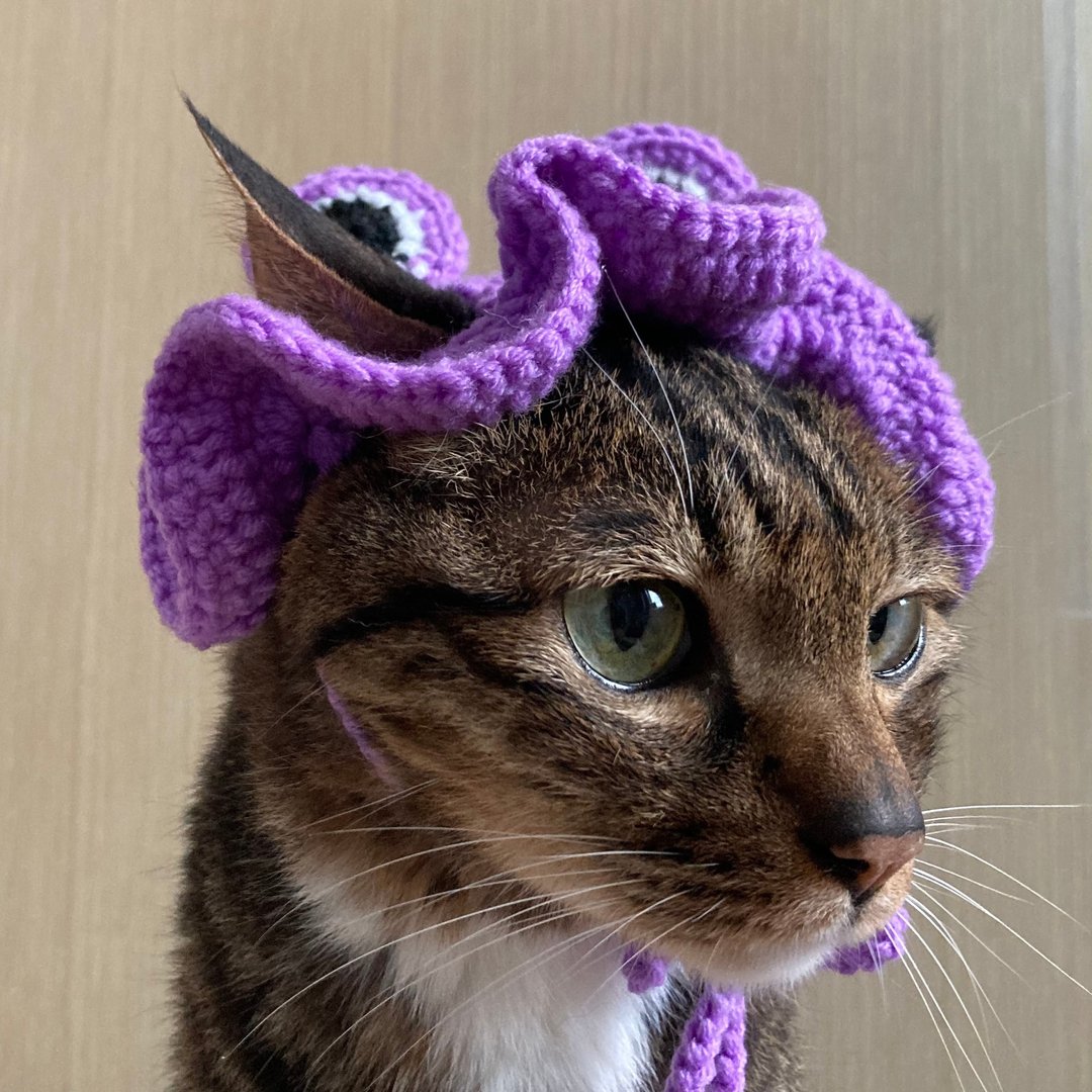 【小洋帽・フロッピーハット】宠物饰品 猫咪/狗狗 -  眼仔小洋帽 - 衣/帽 - 其他材质 紫色