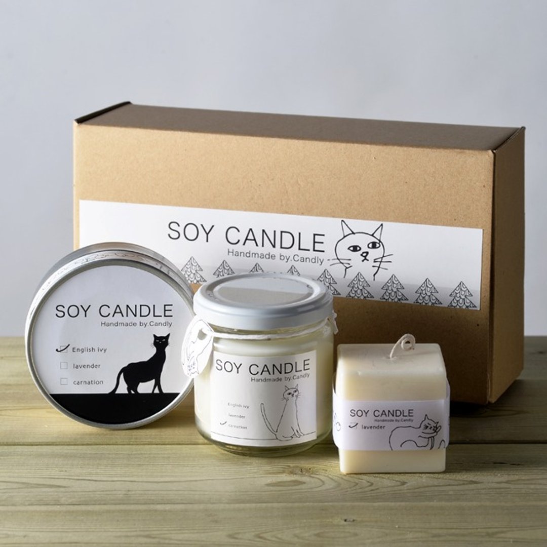 soy candle 3 types set - 蜡烛/烛台 - 蜡 白色