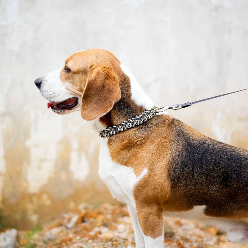 中大型犬项圈可牵引伞绳编织 - 项圈/牵绳 - 棉．麻 