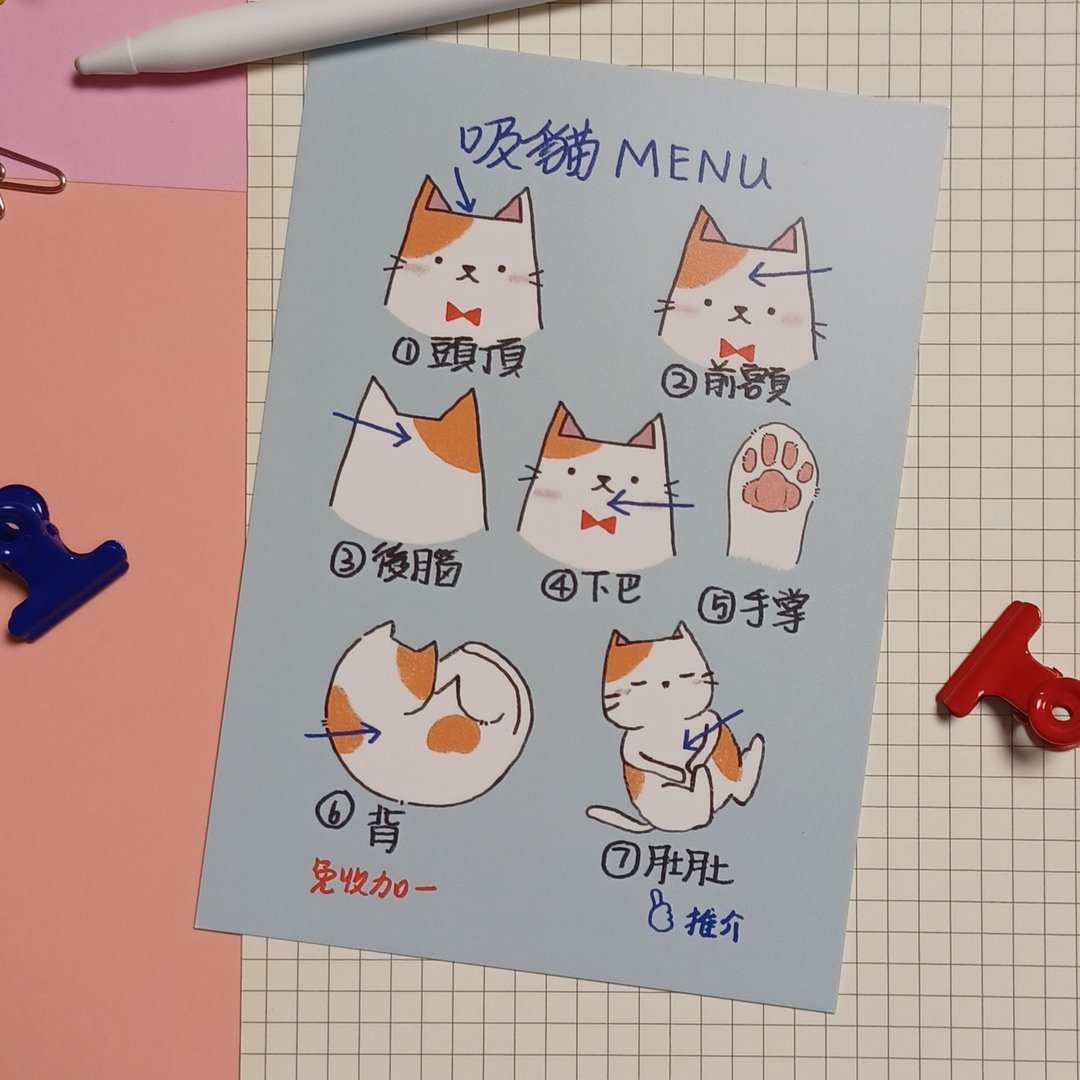 明信片 【吸猫Menu】A6 size - 卡片/明信片 - 纸 