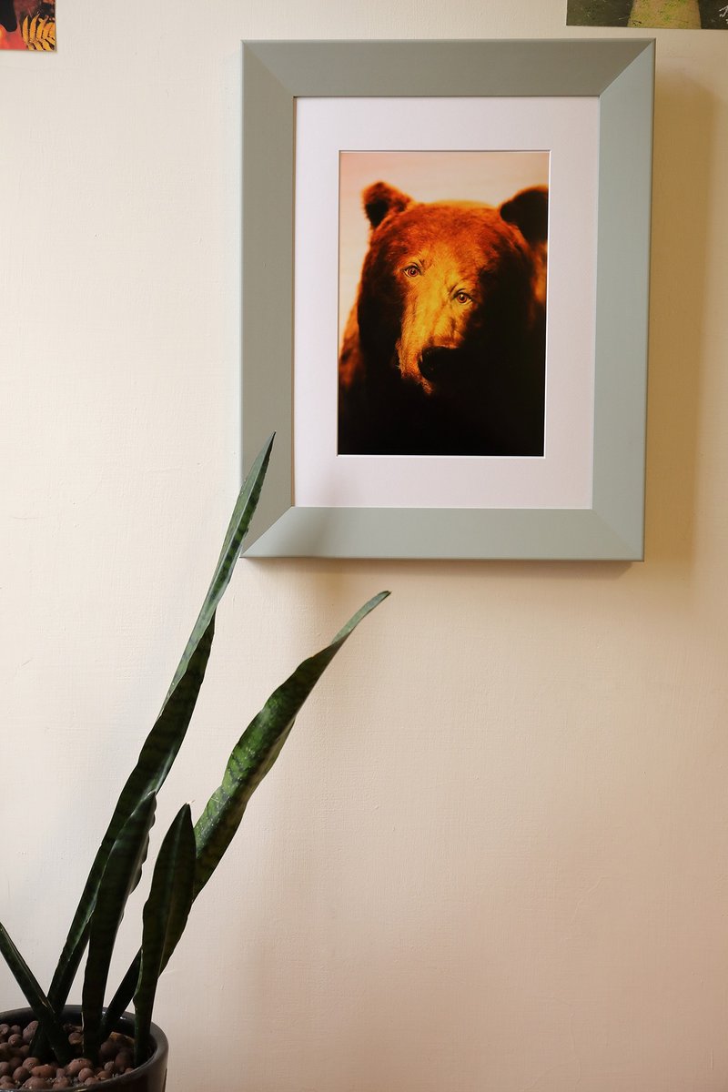 怪物 Psycho - 摄影集 - 纸 