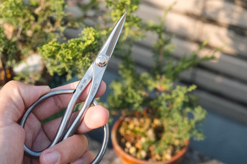 日本制手工盆栽修剪工具 迷你/小品盆栽专用不锈钢剪定铗 剪刀 - 植栽 - 不锈钢 银色