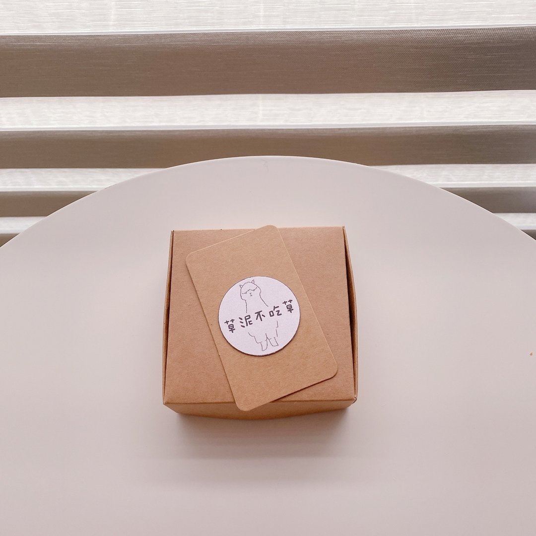 定制-蜜袋鼯羊毛毡盆栽 - 订制抱枕/饰品 - 羊毛 