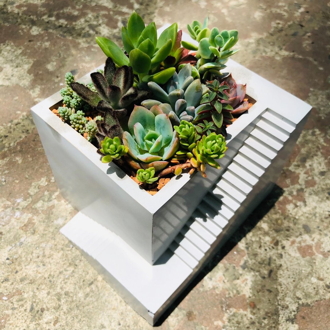 【送礼盆栽】多肉植物/纯手工方形楼梯造型水泥盆2色(白/灰) - 植栽/盆栽 - 水泥 