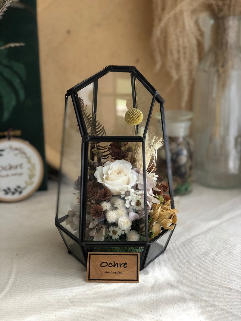 Ochre 玻璃花房系列-钻石黑边 - 干燥花/捧花 - 植物．花 白色