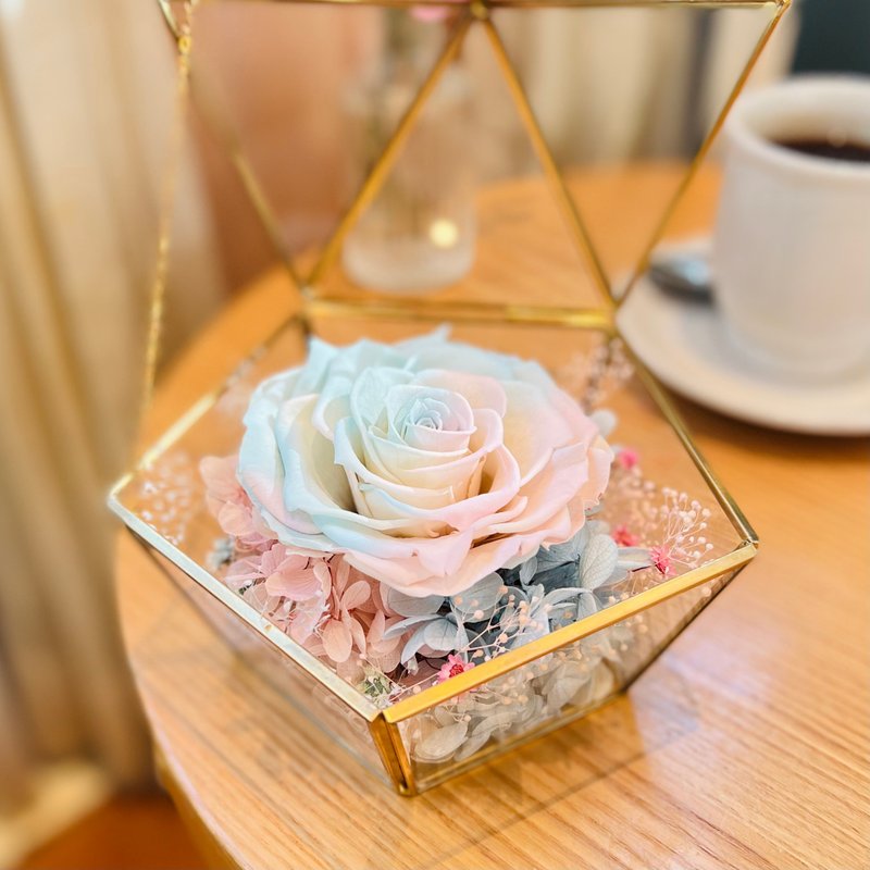 永生花拼色大玫瑰玻璃花盒 梦幻颜色 粉红粉蓝 - 干燥花/捧花 - 植物．花 粉红色