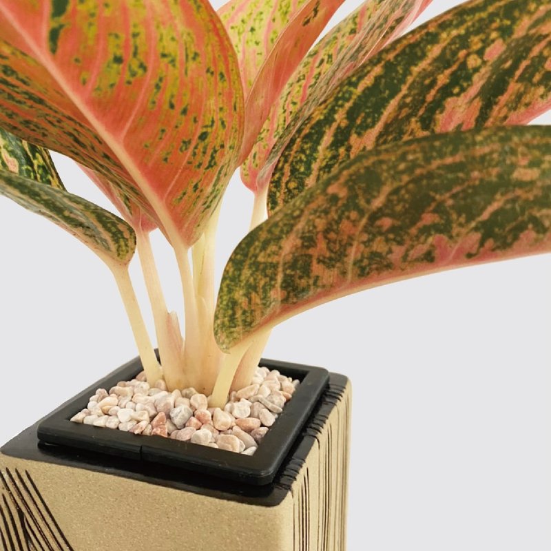 │ 居家小物 │玫瑰岩矿石 - 粉色矿石 装饰小物 - 摆饰 - 陶 