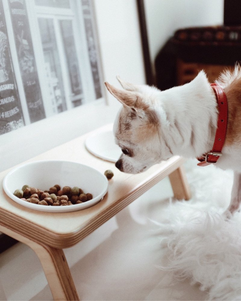 【XXS / 饱足餐桌】 单口/双口 宠物实木碗架-附瓷碗 - 碗/碗架 - 木头 