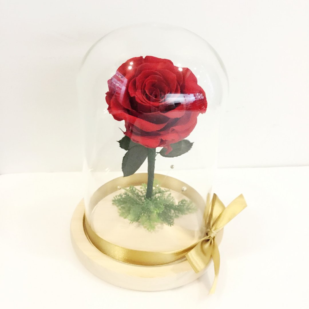 买一送一  不凋花玫瑰  大型玻璃罩花礼    正红色 - 干燥花/捧花 - 植物．花 红色