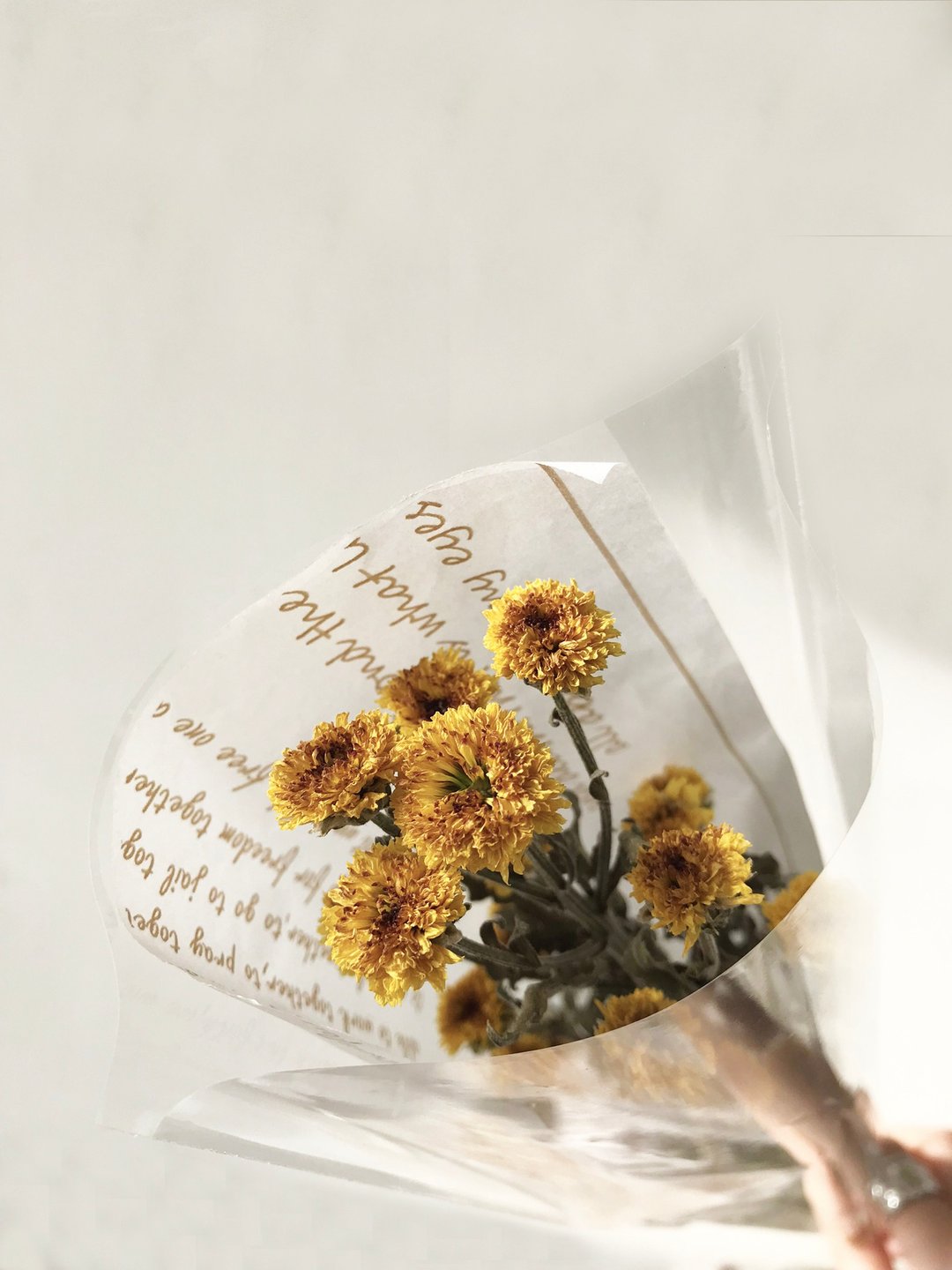 黄色法国雏菊花│自制干燥花新鲜花材干燥果实 - 干燥花/捧花 - 植物．花 黄色