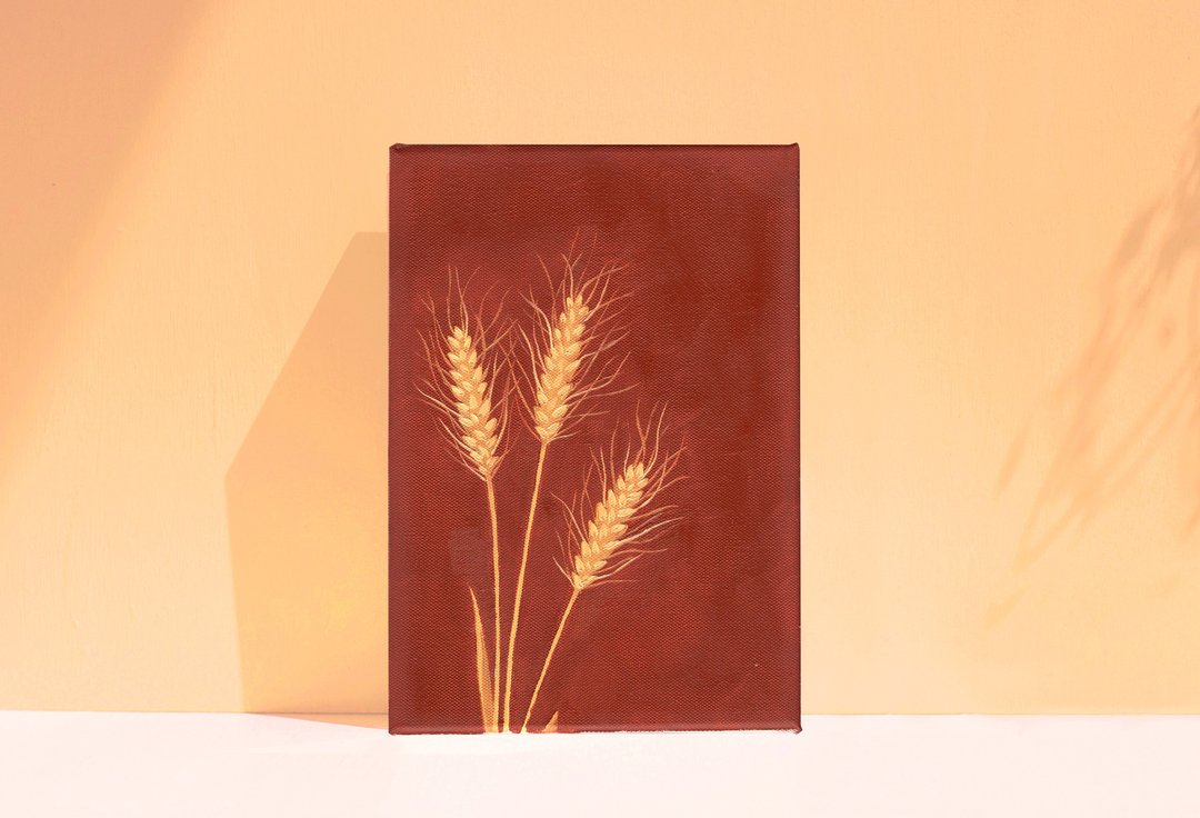 【体验】台中油画体验课程/四季花令 - 小稻/台中画室 - 插画/绘画/写字 - 棉 