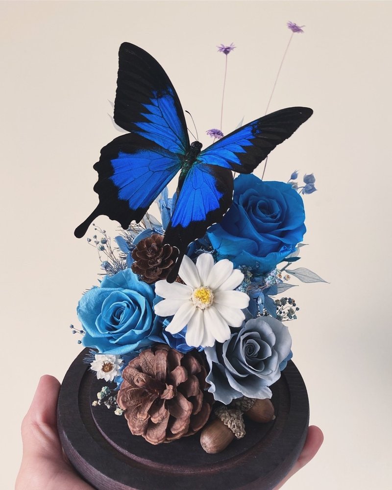 英雄之境∣英雄翠凤蝶∣永生花玻璃盅∣开幕升迁礼∣入厝∣纪念∣ - 干燥花/捧花 - 植物．花 蓝色