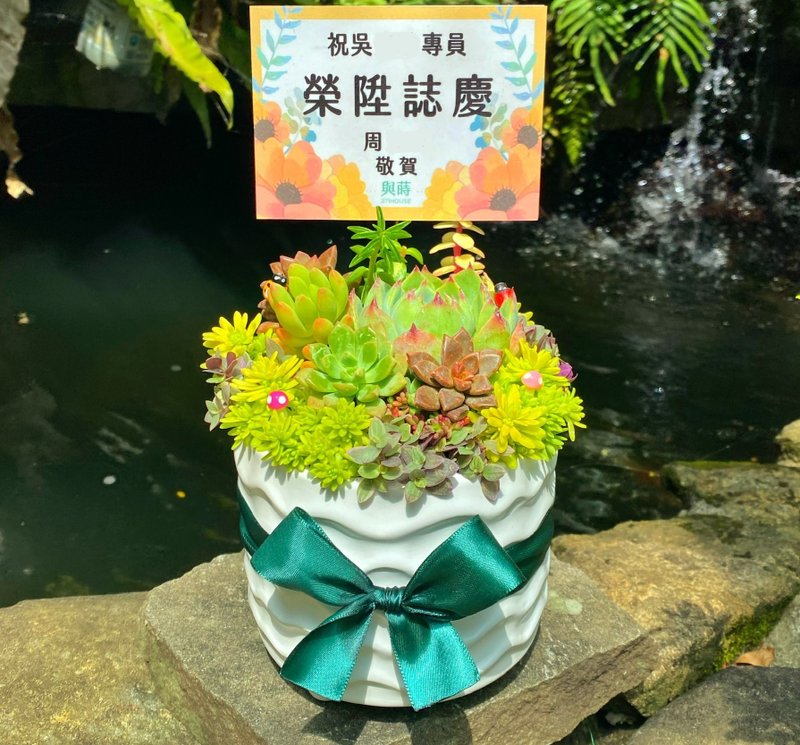 【急单可】免费定制卡片/多肉盆栽 /安全运送/陶瓷盆/升迁 花 - 植栽/盆栽 - 植物．花 绿色