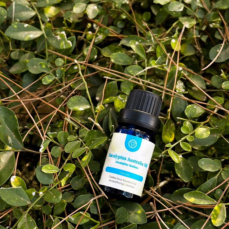 壹皂堂 第五脉轮喉轮-尤加利单方精油 - 香薰/精油/线香 - 其他材质 蓝色