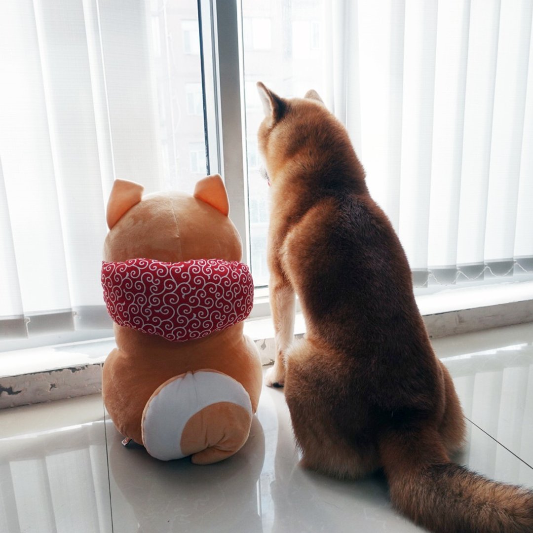 特价  大号仓屋柴犬公仔 送包袱布兜麋鹿帽子 42cm - 玩偶/公仔 - 其他人造纤维 橘色