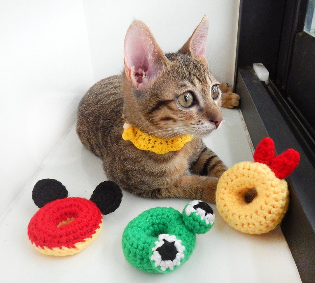 毛线编织猫草玩具 猫咪玩具 猫薄荷 甜甜圈 米奇、炸虾、青蛙 - 玩具 - 其他材质 多色