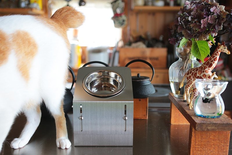 可升降斜面餐架【小型】可水洗不锈钢饲料架 - 碗/碗架 - 其他金属 银色