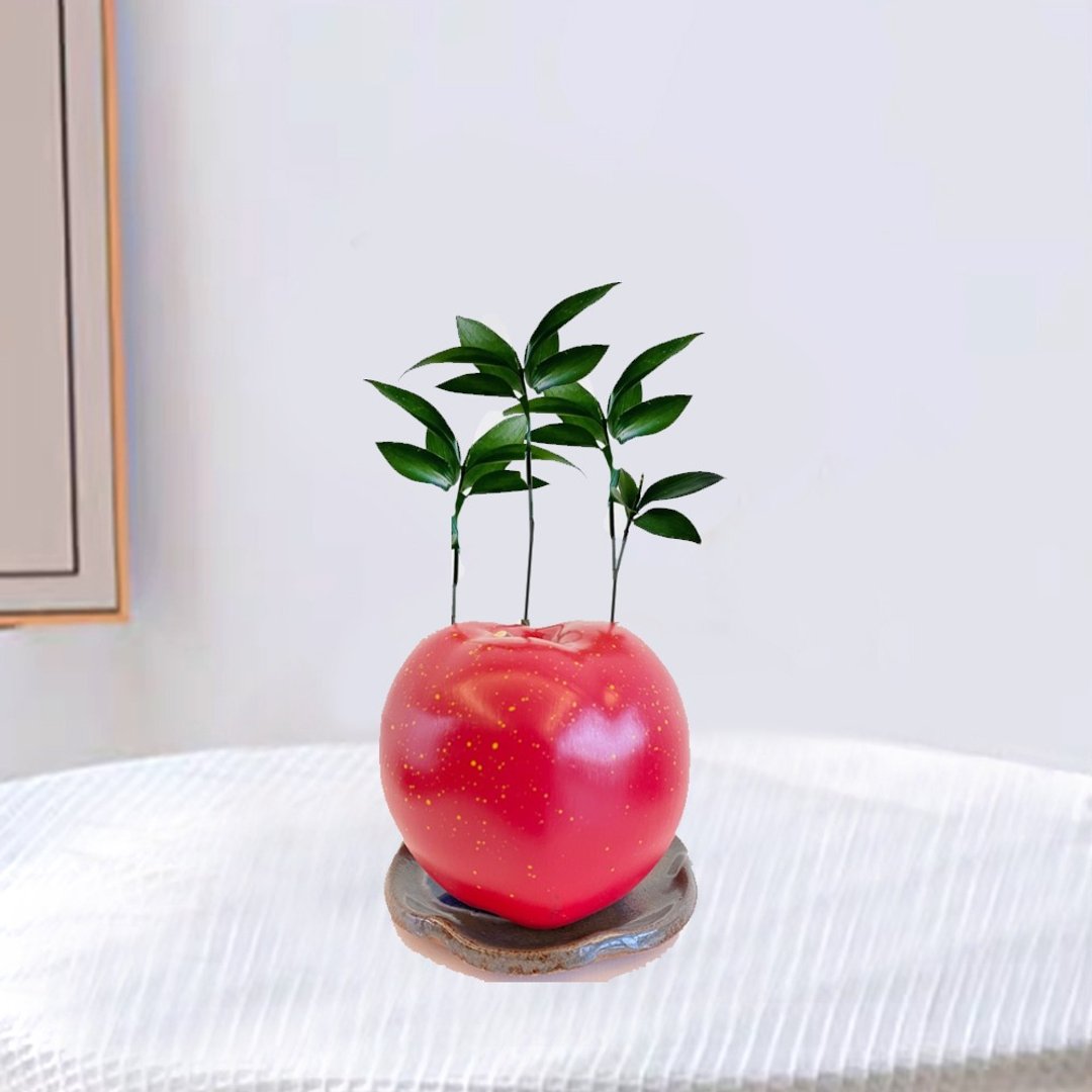 植栽 室内盆栽 苹苹安安盆栽 竹柏 室内盆栽 - 植栽/盆栽 - 其他材质 红色