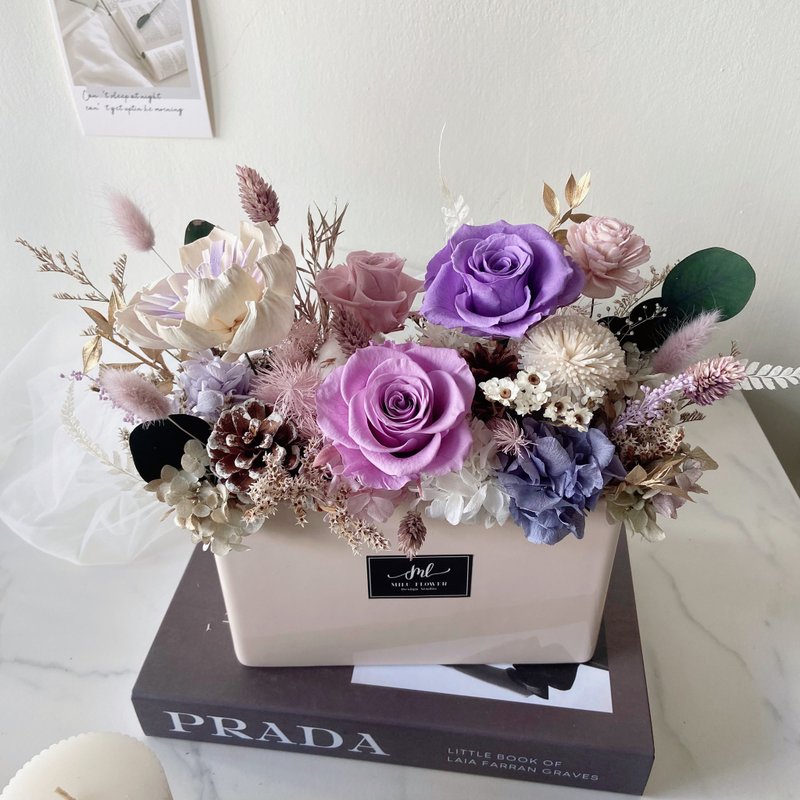 永生花开幕盆花 干燥花乔迁花礼 - 干燥花/捧花 - 植物．花 紫色