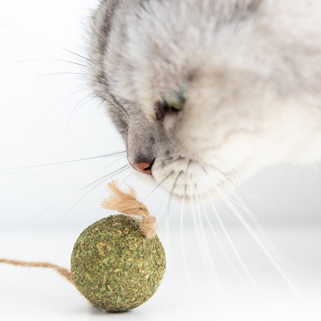 【安阁家】猫の礼盒 - 猫薄荷球(2入) - 玩具 - 纸 