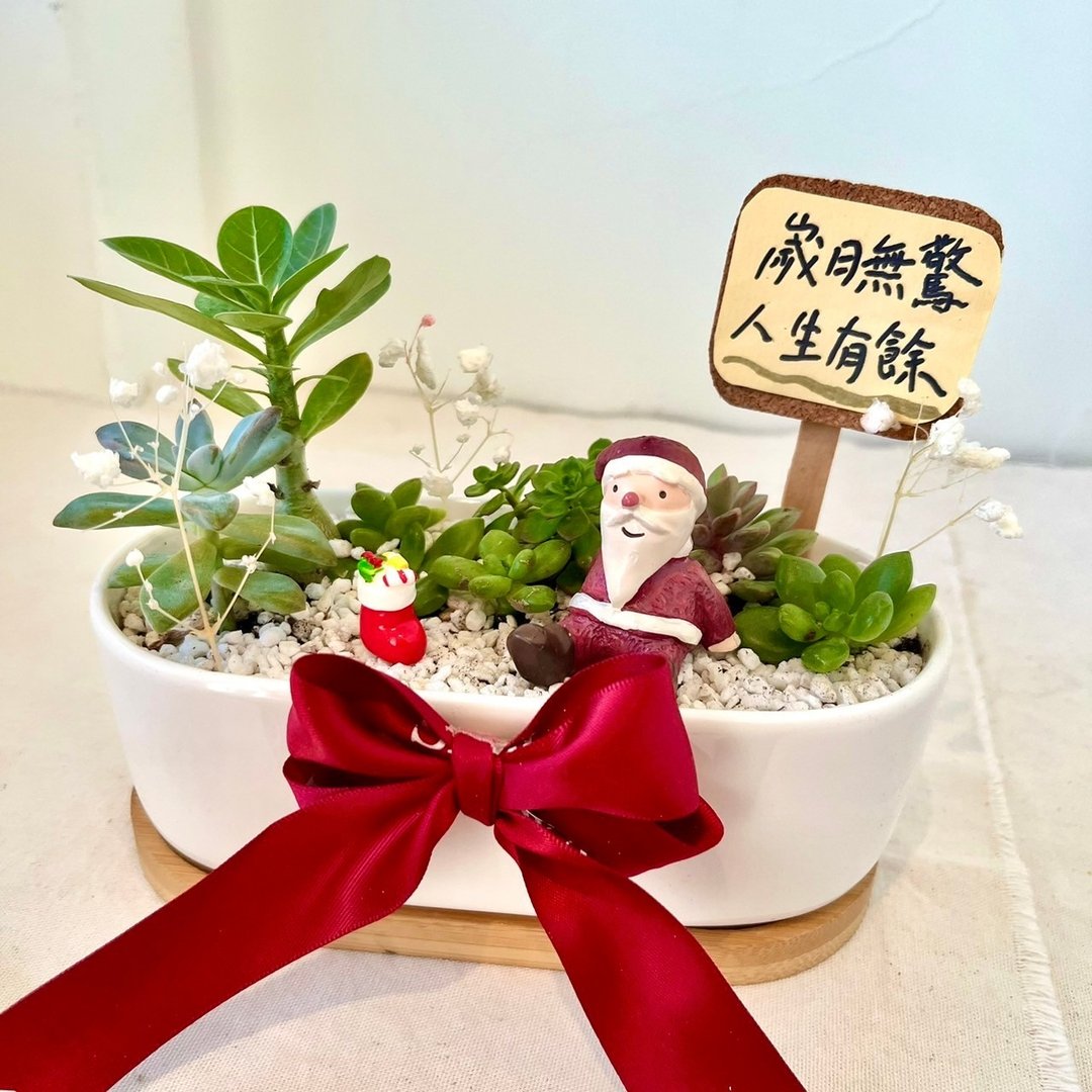 圣诞老人 圣诞袜 日式 多肉组盆 多肉 创意盆栽 盆栽 定制化礼物 - 植栽/盆栽 - 植物．花 绿色