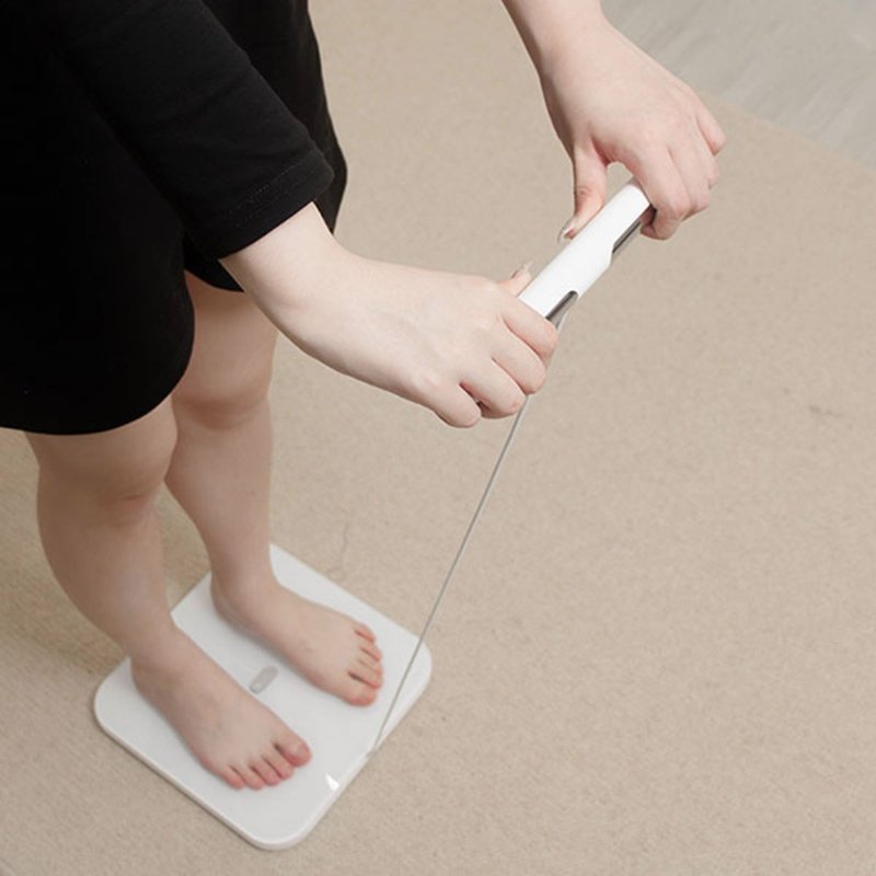 八电极体脂计 (家用款) | 台湾 3ZeBra 3Body - 其他 - 玻璃 