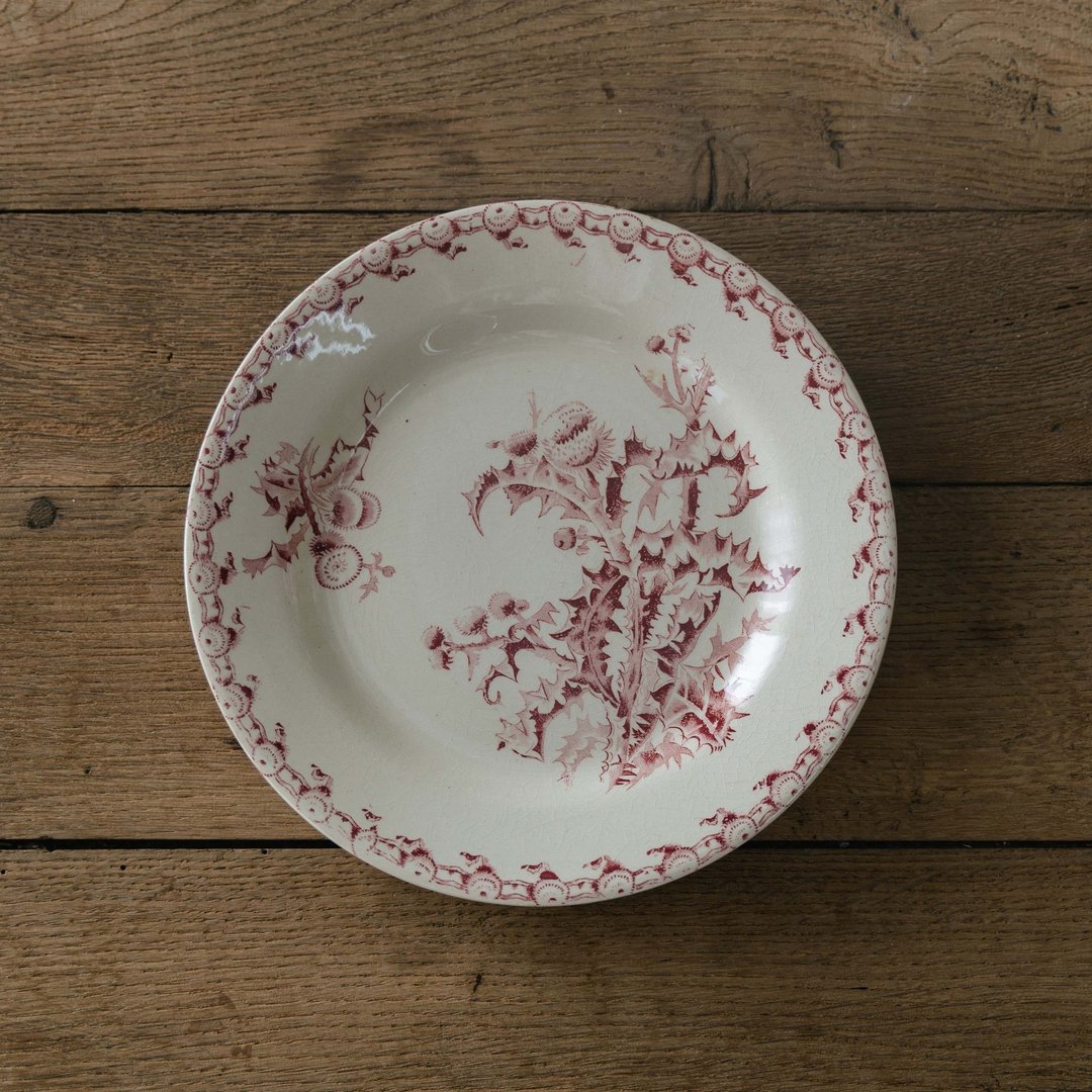 珊瑚朱汤皿 直径24cm - 盘子/餐盘/盘架 - 陶 