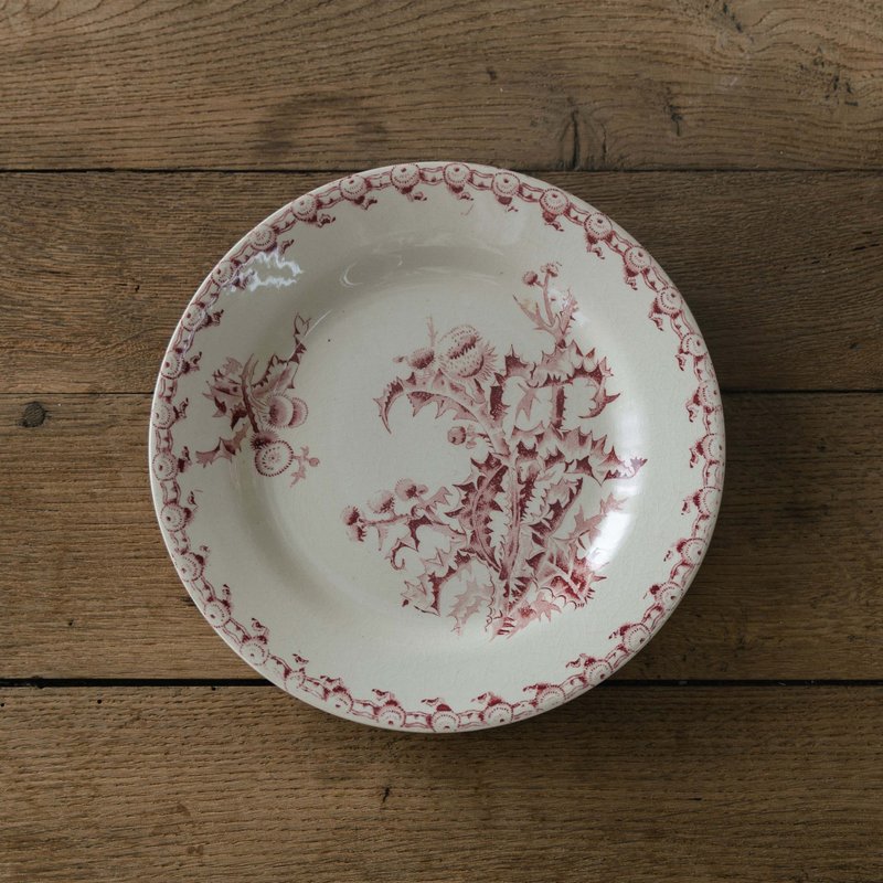 珊瑚朱汤皿 直径24cm - 盘子/餐盘/盘架 - 陶 