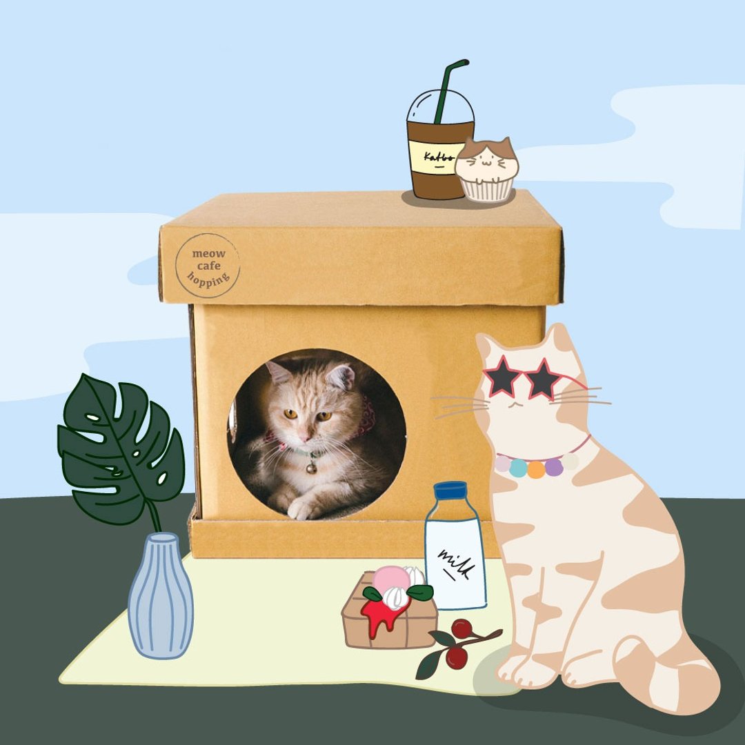 Cube LITTLE CAT CAFE Sticker - 床垫/笼子 - 环保材料 咖啡色