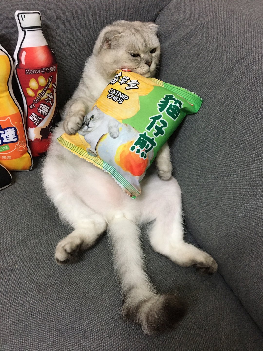 肥宅系列零食 饮料猫草包 - 玩具 - 其他材质 