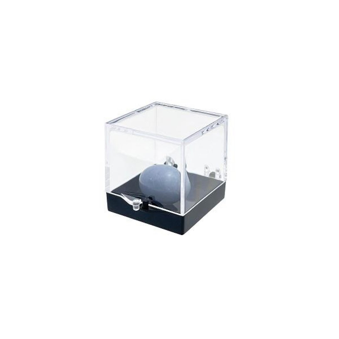 Parky Case S 透明盒 矿物收藏盒 - 收纳用品 - 塑料 白色