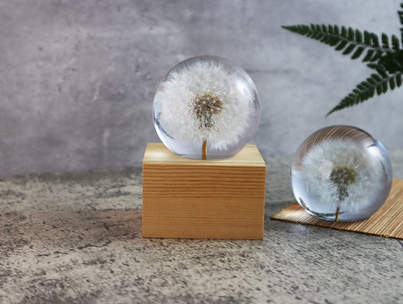 梦天涯蒲公英冰砖 - 蒲公英植物标本音乐盒 (全圆) 发条 - 摆饰 - 树脂 白色