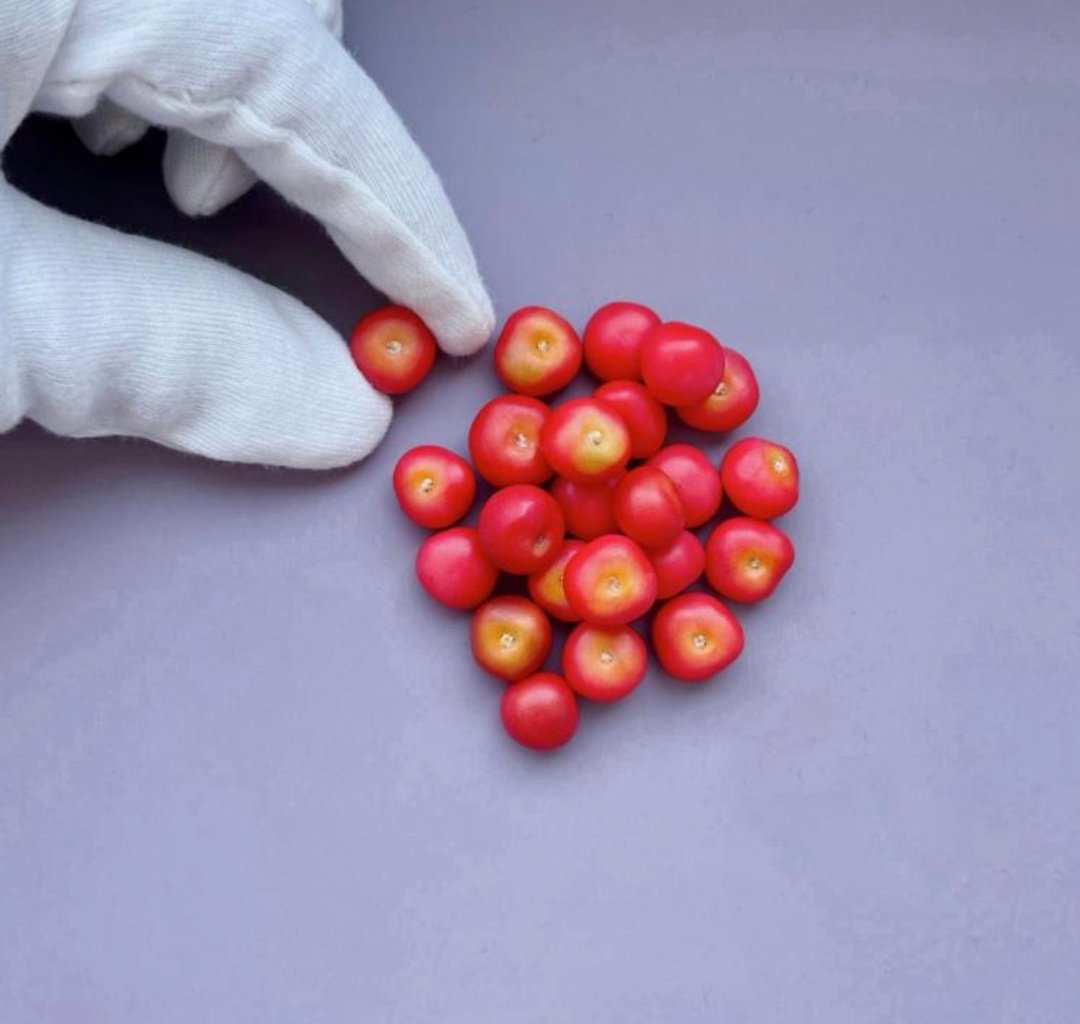 Miniature tomato. Mini vegetables. Polymer clay tomatoes. Dollhouse miniatures. - 玩具/玩偶 - 粘土 红色