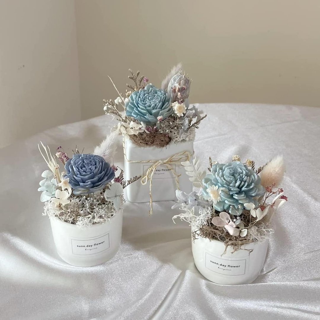 【扩香小盆花】生日礼物 办公室小物 蓝色花礼 定制化 扩香花 - 摆饰 - 植物．花 
