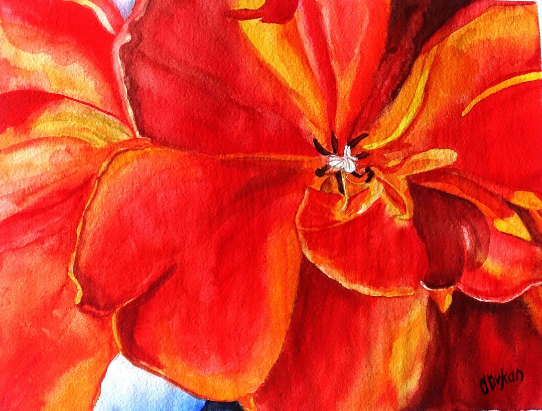 Tulip Painting Floral Watercolor Texas Original Art Flower Wall Art - 墙贴/壁贴 - 纸 红色