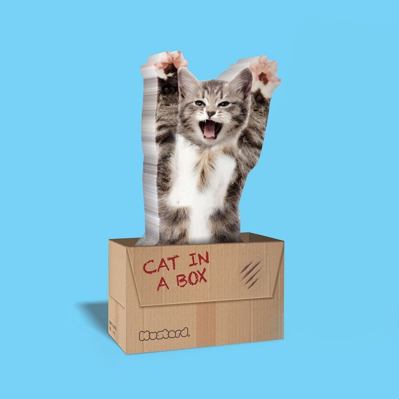 英国 Mustard 趣味便利贴 - 猫老大 - 便条纸/标签贴 - 纸 灰色