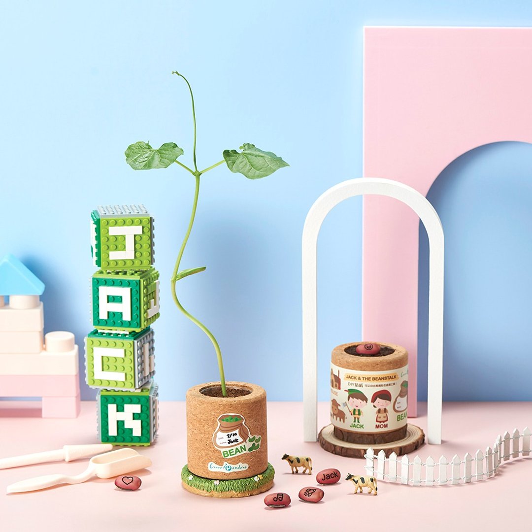 【亲子绘本】DIY魔豆盆栽/diy趣味/疗愈/送礼/亲子活动/植物观察 - 植栽/盆栽 - 其他材质 卡其色