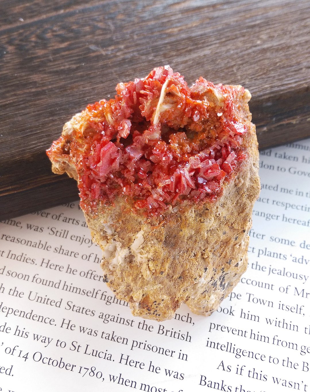 Vanadinite 摩洛哥产地 钒铅矿 天然矿石 原矿 - 摆饰 - 其他材质 