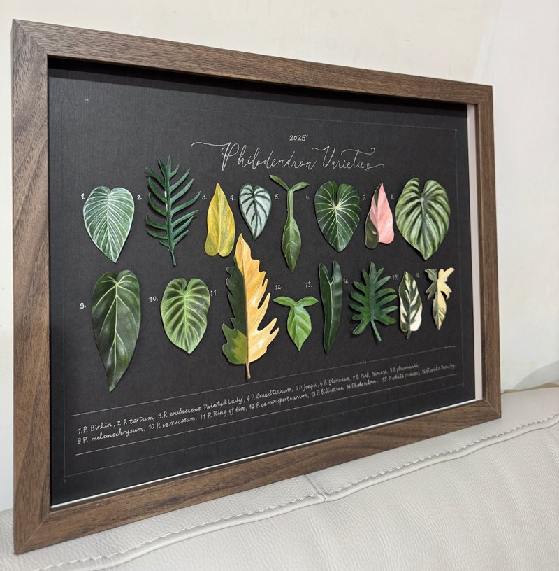 16叶蔓绿绒皮革相框 - 墙贴/壁贴 - 真皮 