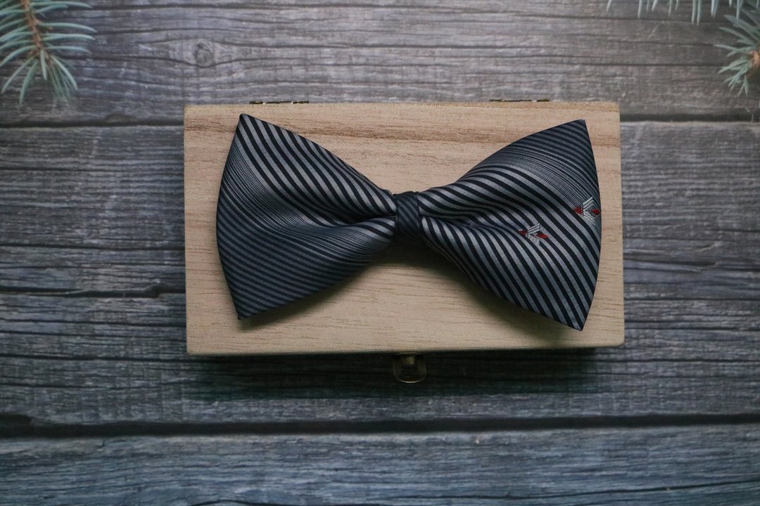 灰藍色條紋小飛機刺繡領結/紳士婚禮主題百搭蝴蝶結 - 领带/领带夹 - 丝．绢 多色
